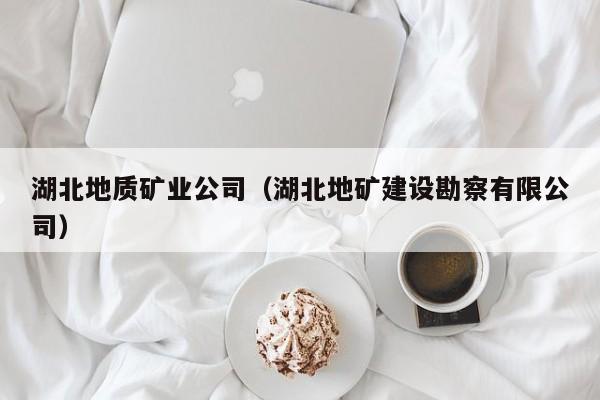 湖北地质矿业公司（湖北地矿建设勘察有限公司）